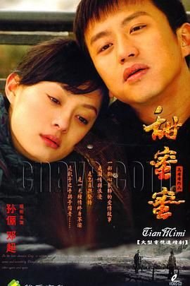 《甜蜜蜜免费全集在线观看 甜蜜蜜2007》2007 海报