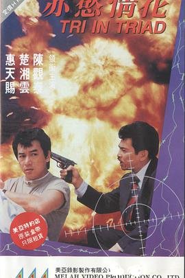 《正在播放赤欲情花HD国语高清完整版_动作》1991 海报