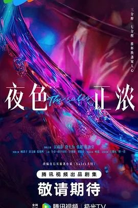 《夜色正浓》电视剧免费在线播放全集 (2026) 海报