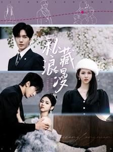 《私藏浪漫》电视剧免费观看全集无删减版最新一集 (2025) 海报