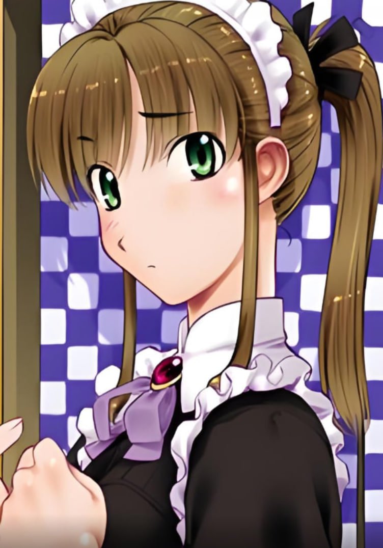 《《女仆调教计划》动漫完整版免费观看_高清全集》2009 海报