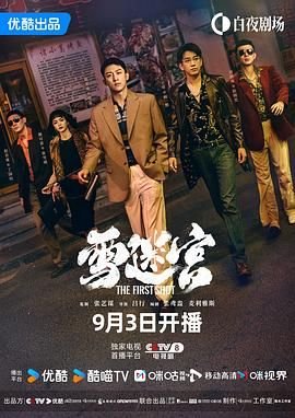 雪迷宫 电视剧 免费观看 全集高清在线完整版 (2024) 海报