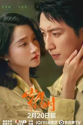 《《岁月有情时》免费在线观看完整版_中国大陆电视剧01集播放》2026 海报