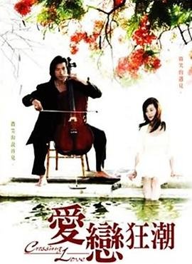 《爱恋狂潮》高清在线观看-电视剧-全集完整版 (2009) 海报
