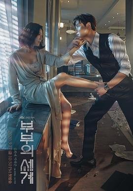 韩剧《夫妻的世界》 (2020) 海报