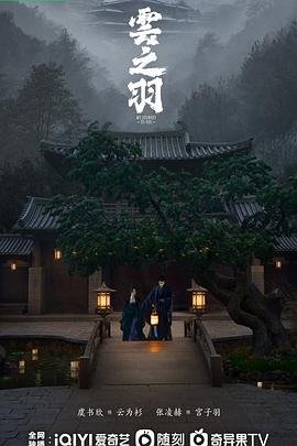 《云之羽》电视剧高清完整版免费在线观看_国产剧 (2023) 海报