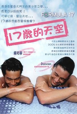《《十七岁的天空 》韩剧电影全集完整版在线免费高清观看》2004 海报