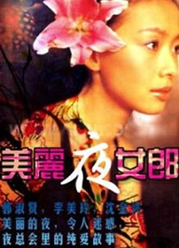 《美丽夜女郎》-高清4K蓝光完整全集在线免费观看 (1996) 海报