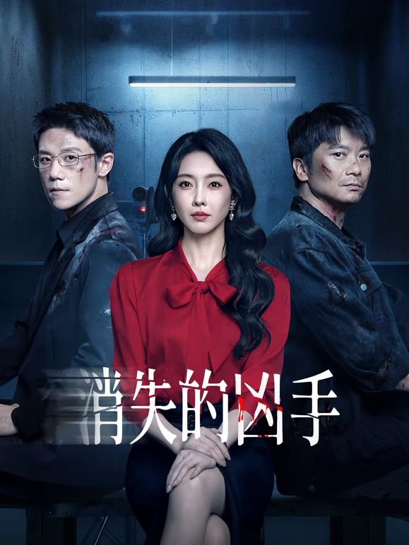 消失的凶手电视剧免费观看完整版 (2025) 海报