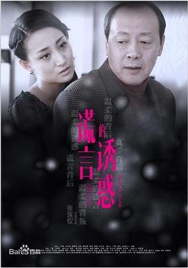《电视剧《谎言的诱惑22》免费在线观看高清完整版-》2015 海报