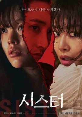 《姐妹第6集在线观看完整版高清》2026 海报