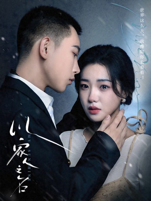 以家人之名电视剧全集免费观看 高清版 (2024) 海报